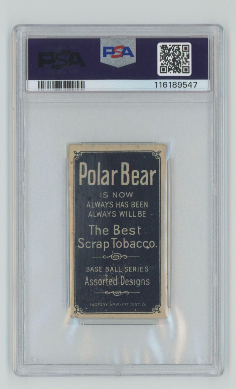 1909 POLAR BEAR WHITE BORDER RED AMES PSA 4 NEW YORK POLAR BEAR TOTAL POP 23 - Image 3