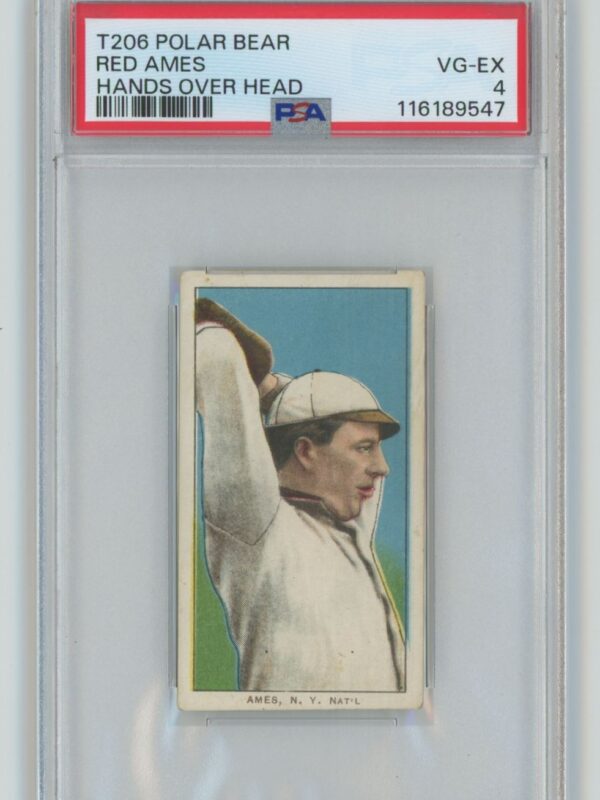 1909 POLAR BEAR WHITE BORDER RED AMES PSA 4 NEW YORK POLAR BEAR TOTAL POP 23