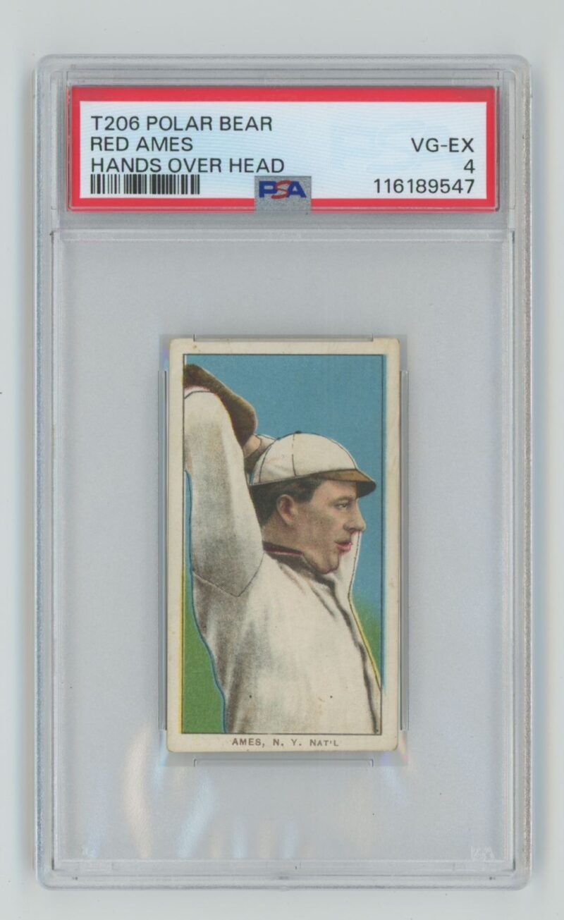 1909 POLAR BEAR WHITE BORDER RED AMES PSA 4 NEW YORK POLAR BEAR TOTAL POP 23