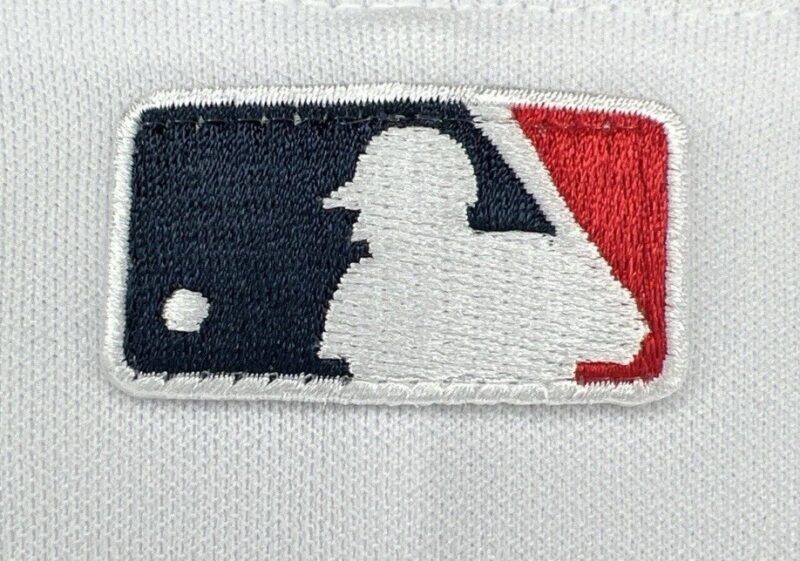Pedro Martinez Autographed Boston Red Sox Majestic MLB Jersey - Image 9