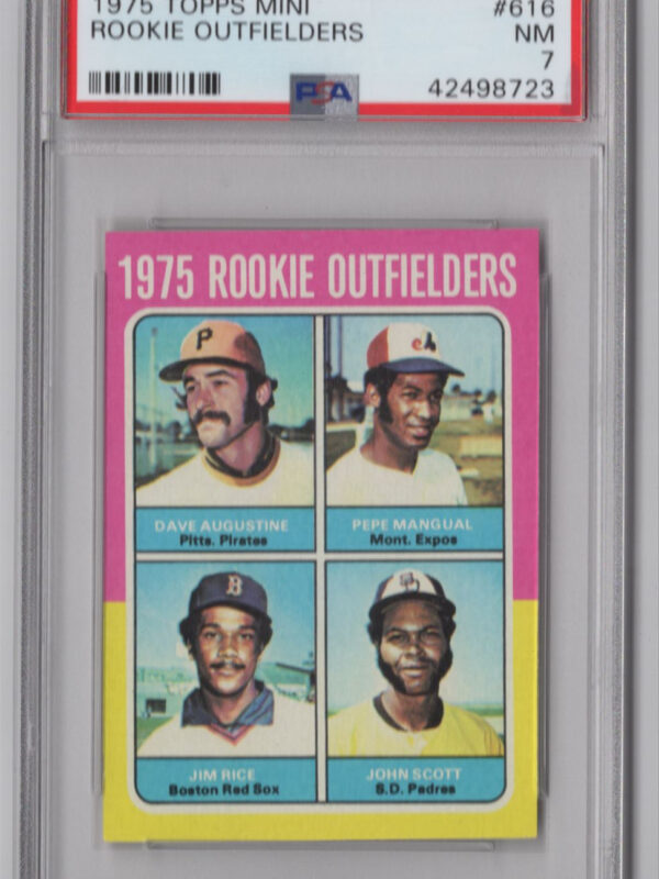 1975 3-15 ROOKIE OUTFIELDERS - DAVE AUGUSTINE/PEPE MANGUAL/JIM RICE/JOHN SCOTT