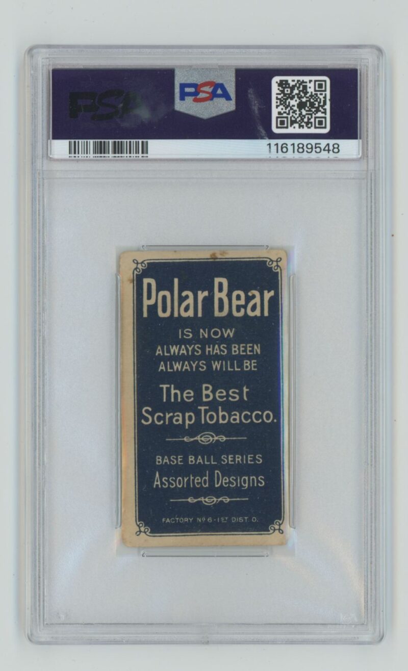 1909 POLAR BEAR WHITE BORDER BOB BESCHER PSA 2 CINCINNATI 286735698444 2