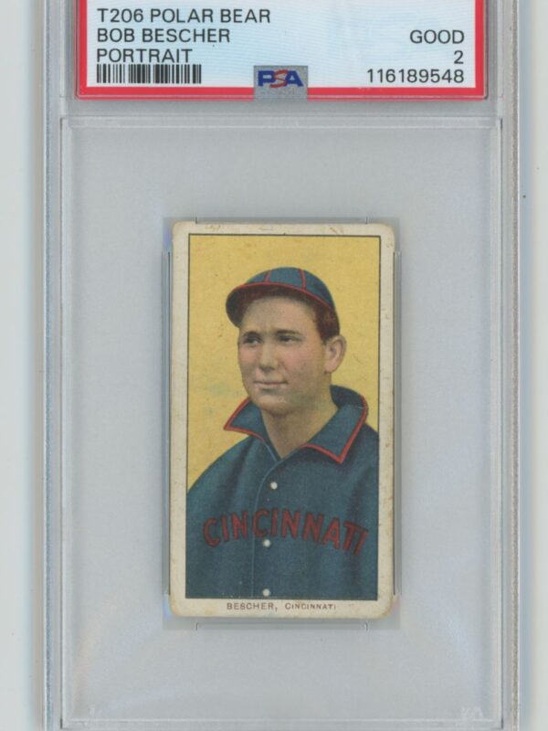 1909 POLAR BEAR WHITE BORDER BOB BESCHER PSA 2 CINCINNATI 286735698444
