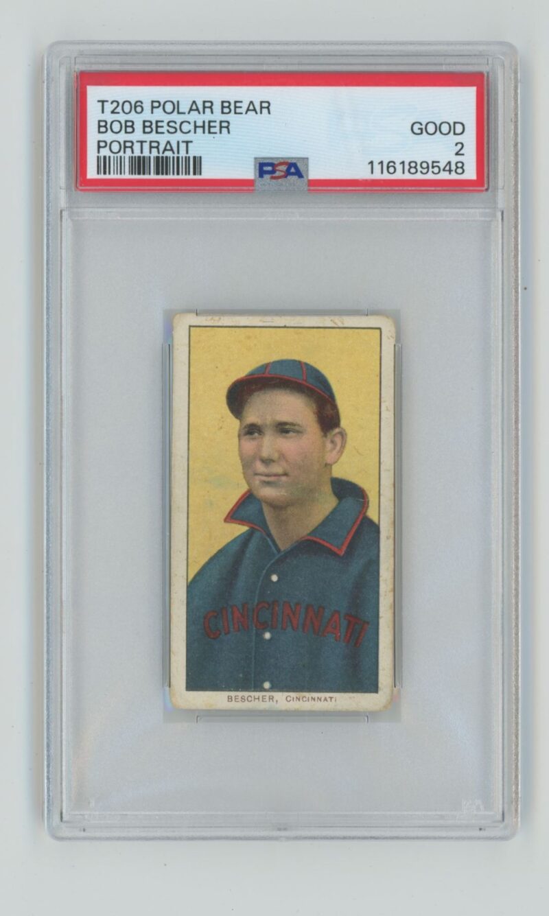 1909 POLAR BEAR WHITE BORDER BOB BESCHER PSA 2 CINCINNATI 286735698444