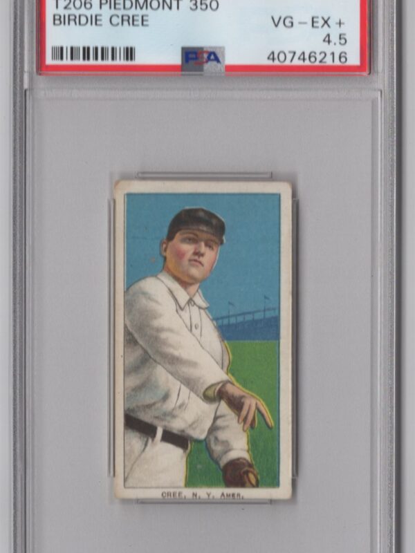 1910 PIEDMONT WHITE BORDER BIRDIE CREE PSA 4.5 NEW YORK POP 8