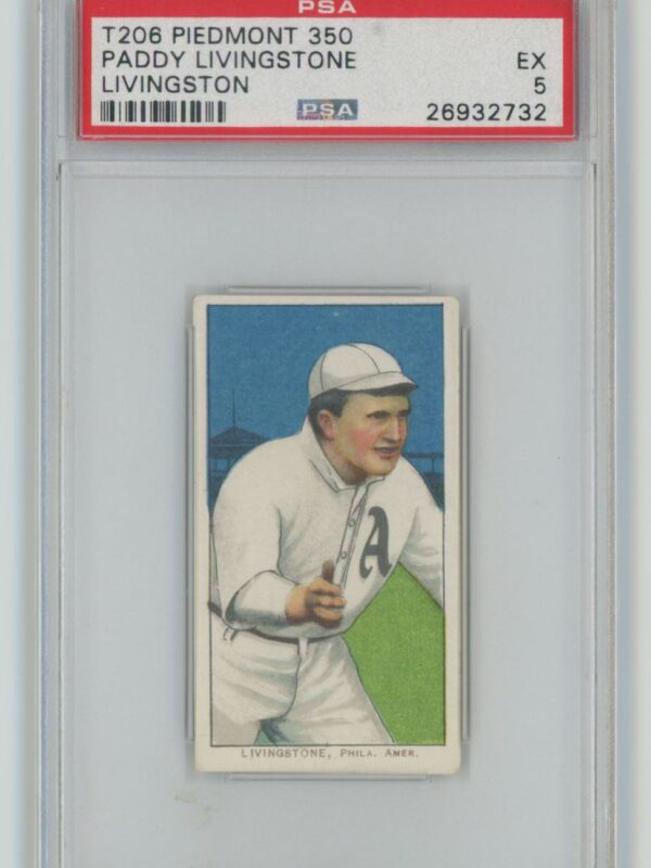 1910 PIEDMONT WHITE BORDER PADDY LIVINGSTONE PSA 5 PHILADELPHIA POP 10