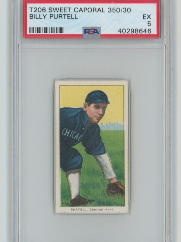 1909 SWEET CAPORAL WHITE BORDER BILLY PURTELL PSA 5 CHICAGO POP 5 ONLY 3 HIGHER