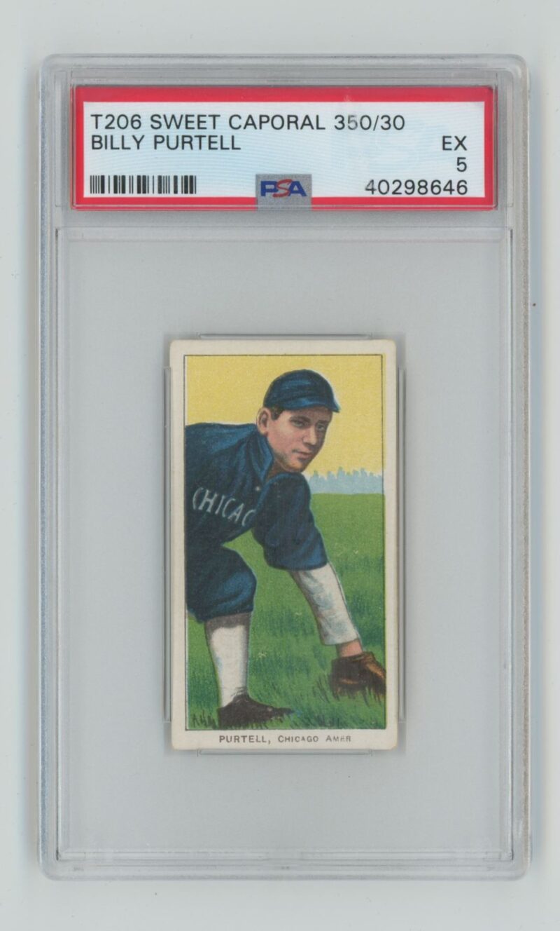 1909 SWEET CAPORAL WHITE BORDER BILLY PURTELL PSA 5 CHICAGO POP 5 ONLY 3 HIGHER