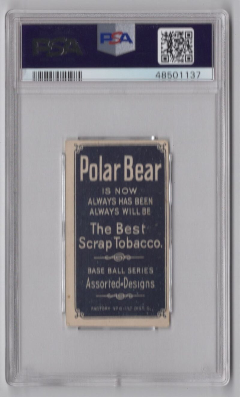 1909 POLAR BEAR WHITE BORDER CY SEYMOUR PSA 4 NEW YORK TOTAL POP 22 - Image 3