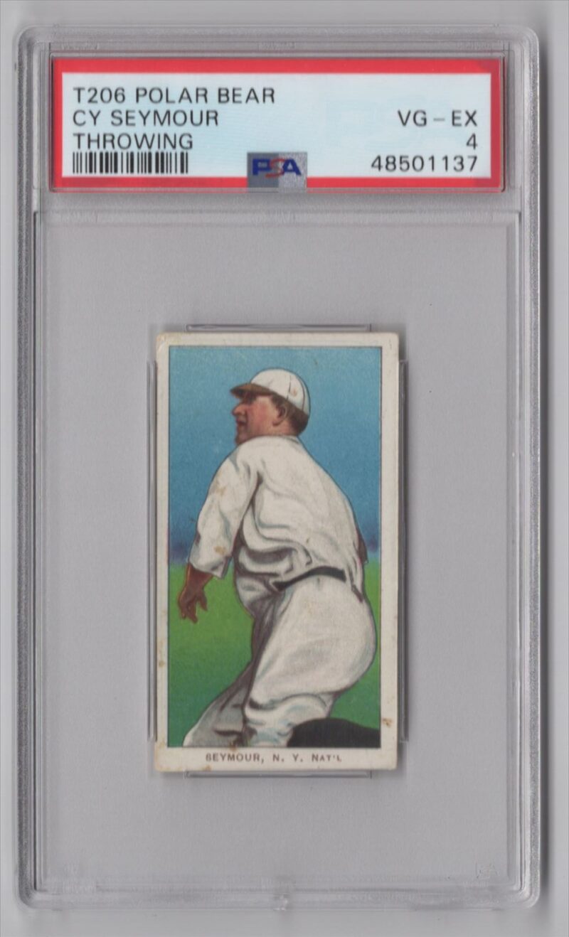 1909 POLAR BEAR WHITE BORDER CY SEYMOUR PSA 4 NEW YORK TOTAL POP 22