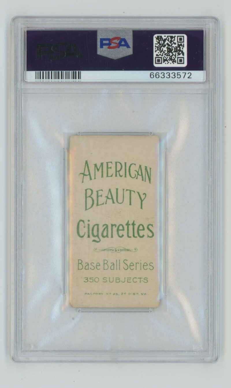 1909 WHITE BORDER JEFF SWEENEY PSA 3 NEW YORK AMERICAN BEAUTY POP 3 ONLY 5 - Image 3