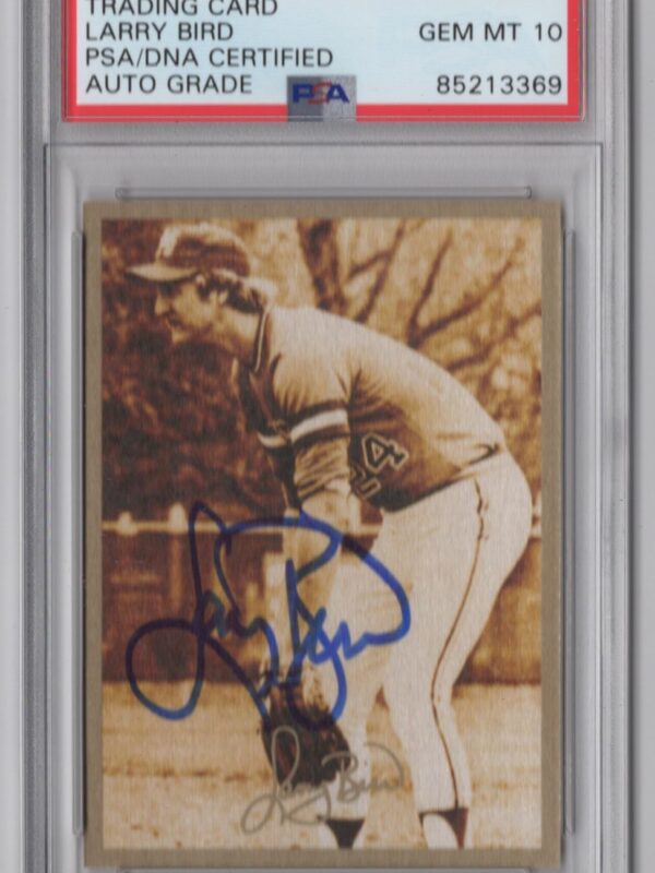 1994 TED WILLIAMS CARD COMPANY LARRY BIRD ROOKIE AUTO COLLAGE 1979 PSA 10
